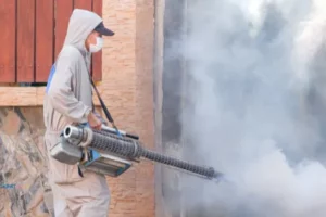 fogging