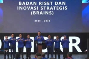 Ahy Brains