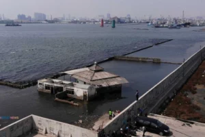 Giant Sea Wall