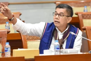 Hinca Panjaitan Hinca Panjaitan