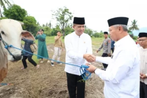 Mentrans Serahkan Sapi Kurban Dari Presiden Prabowo