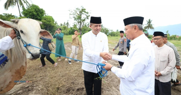 Mentrans Serahkan Sapi Kurban Dari Presiden Prabowo