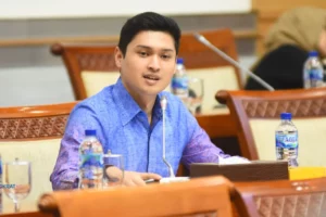 Rizki Aulia Rahman Natakusumah