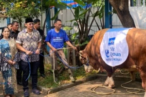 Sapi Kurban Partai Demokrat