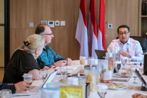 Teuku Riefky Harsya Dan Rmit Univ