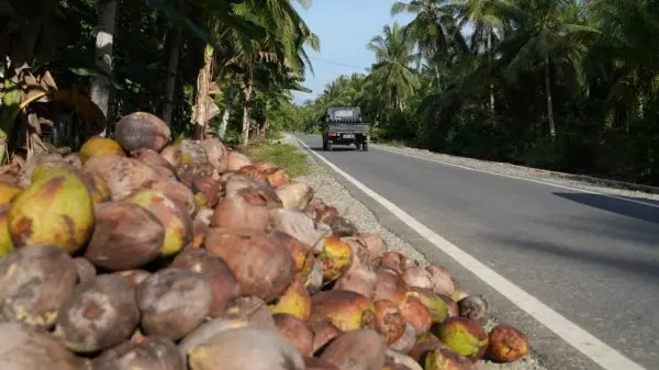 Akses Jalan Untuk Distribusi Hasil Panen