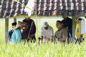 Ahy Berdialog Dengan Petani Ntb