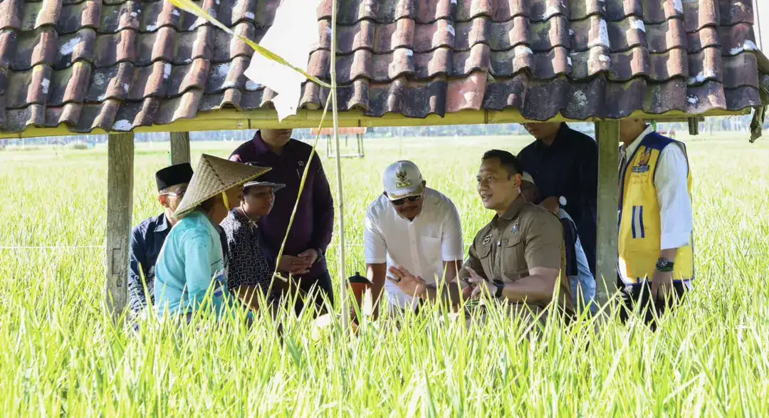Ahy Berdialog Dengan Petani Ntb