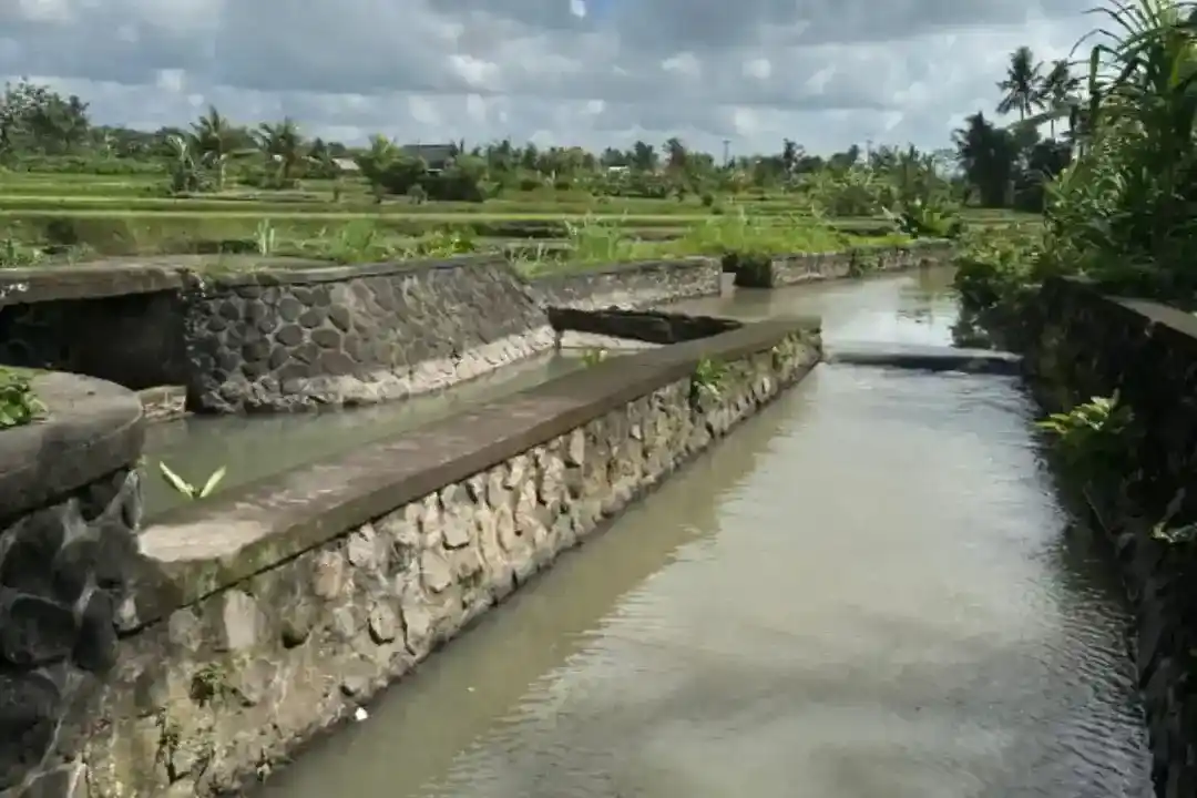 Menteri Pu Dody Hanggodo Tinjau Proyek Irigasi Bali