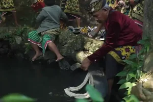 Persiapan Bondjeroek Culture Festival 2025