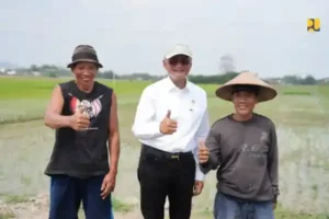 Petani Kudus Panen Padi Di Sawah Irigasi Bendungan Logung Petani Kudus Panen Padi Di Sawah Irigasi Bendungan Logung