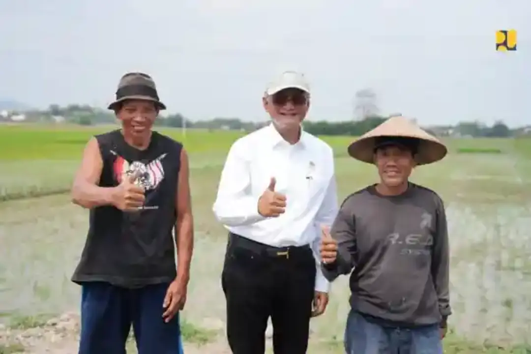 Petani Kudus Panen Padi Di Sawah Irigasi Bendungan Logung