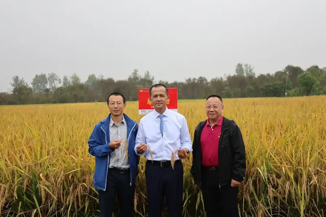 Menteri Transmigrasi Di Fasilitas Riset Wuhan