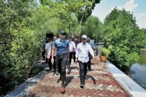 Ahy Tinjau Ketapang Urban Aquaculture Tangerang Ahy Tinjau Ketapang Urban Aquaculture Tangerang